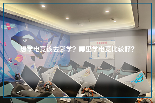 想学电竞该去哪学?哪里学电竞比较好?